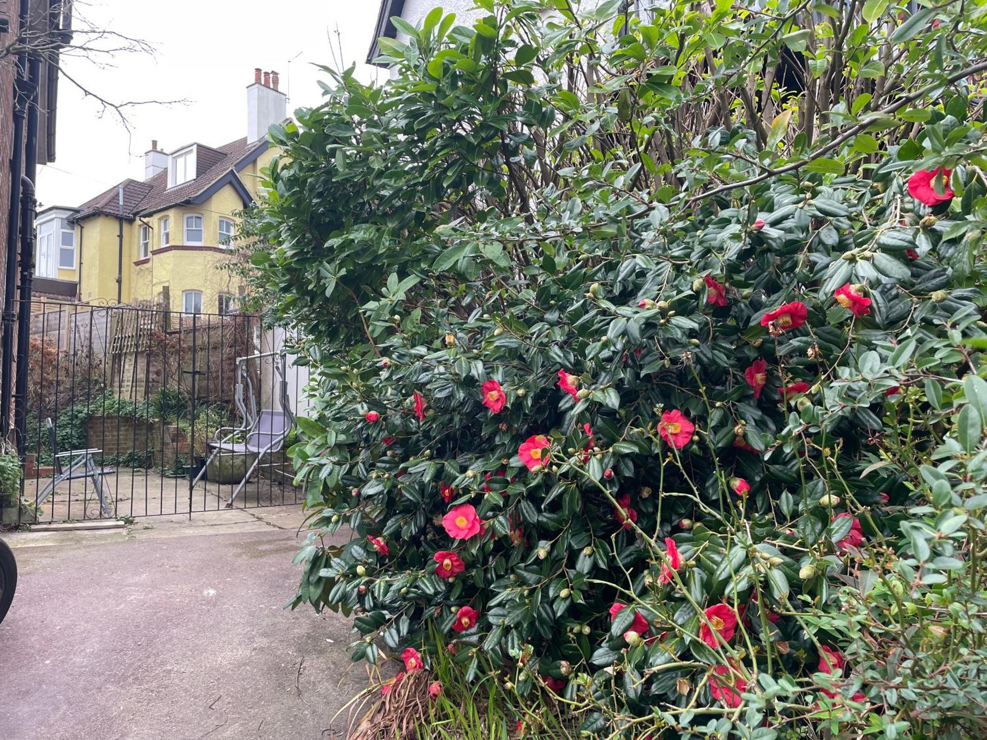 Livadia House At St Leonards On Sea Bed & Breakfast Екстериор снимка